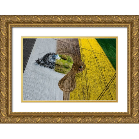 FOUR SEASONS 05 Gold Ornate Wood Framed Art Print with Double Matting by D. Pop, Ovi