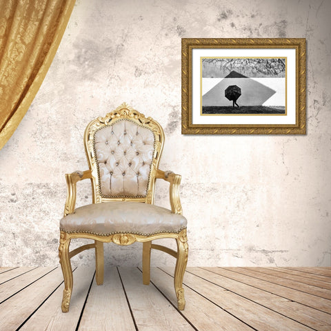 Shadow Geometry Gold Ornate Wood Framed Art Print with Double Matting by Pirvulescu, Panfil
