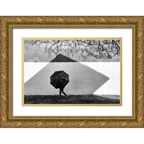 Shadow Geometry Gold Ornate Wood Framed Art Print with Double Matting by Pirvulescu, Panfil