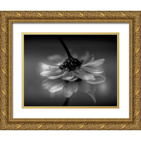 Little daisy Gold Ornate Wood Framed Art Print with Double Matting by Albanese, Manuela