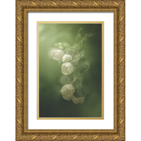 Jasmine Gold Ornate Wood Framed Art Print with Double Matting by Zvinakeviciute, Kristina