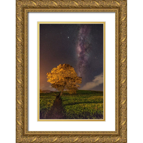 milky way Gold Ornate Wood Framed Art Print with Double Matting by Liza, Lety
