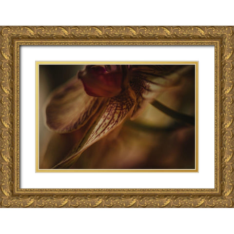 Botanical Series - Orchid 1/2 Gold Ornate Wood Framed Art Print with Double Matting by Elijas, Eva