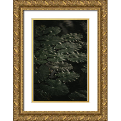 Botanical Series - Water Lily Leaves 1/2 Gold Ornate Wood Framed Art Print with Double Matting by Elijas, Eva