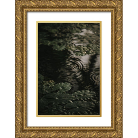 Botanical Series - Water Lily Leaves 2/2 Gold Ornate Wood Framed Art Print with Double Matting by Elijas, Eva