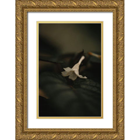 Botanical Series - White Blossom Gold Ornate Wood Framed Art Print with Double Matting by Elijas, Eva