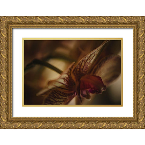 Botanical Series - Orchid 2/2 Gold Ornate Wood Framed Art Print with Double Matting by Elijas, Eva