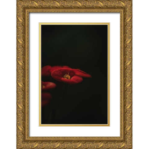 Botanical Series - Red Blossom Gold Ornate Wood Framed Art Print with Double Matting by Elijas, Eva