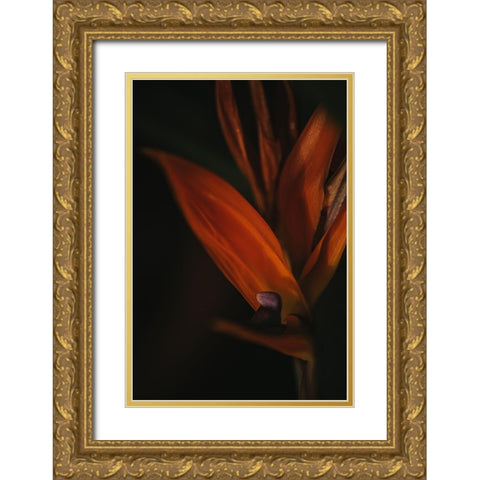 Botanical Series - Bird of Paradise Flower Gold Ornate Wood Framed Art Print with Double Matting by Elijas, Eva