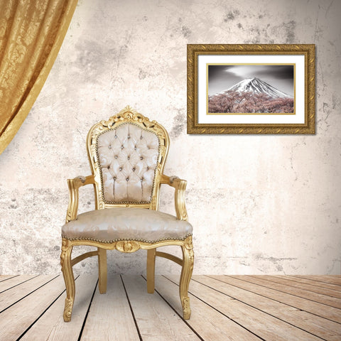 Sakura Fuji Gold Ornate Wood Framed Art Print with Double Matting by Mitamura, Takeshi