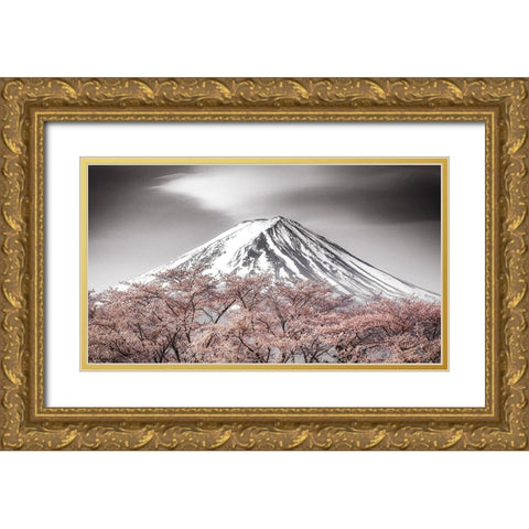 Sakura Fuji Gold Ornate Wood Framed Art Print with Double Matting by Mitamura, Takeshi