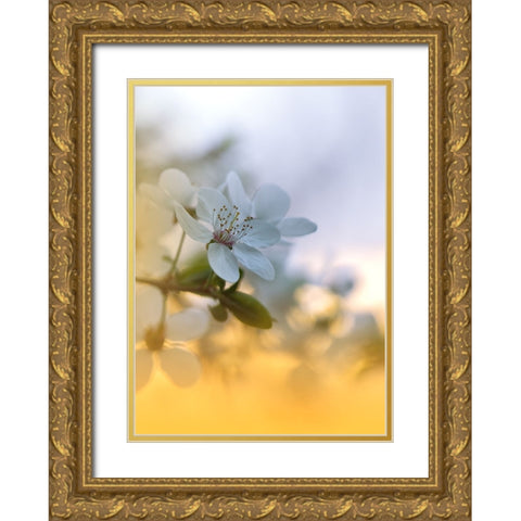 Spring Melody...II Gold Ornate Wood Framed Art Print with Double Matting by Nan, Juliana
