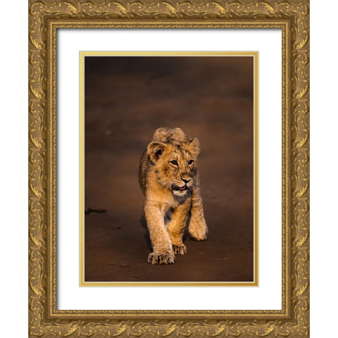 New Blood ! Gold Ornate Wood Framed Art Print with Double Matting by Singodia, Kanchan