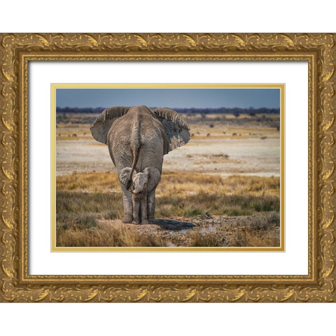 BabyElephant Gold Ornate Wood Framed Art Print with Double Matting by Egger, Marcel