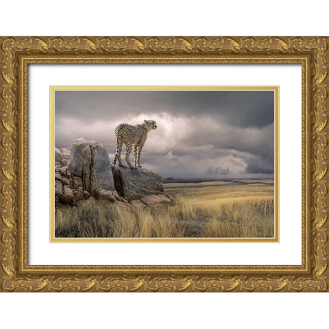 CheetahView Gold Ornate Wood Framed Art Print with Double Matting by Egger, Marcel