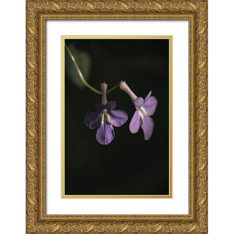 Botanical Series - Purple Flowers Gold Ornate Wood Framed Art Print with Double Matting by Elijas, Eva