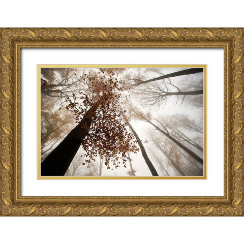 Fall Gold Ornate Wood Framed Art Print with Double Matting by Baekelandt, Luc