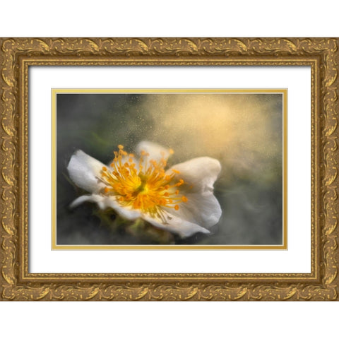 Dreaming Gold Ornate Wood Framed Art Print with Double Matting by Kiral, Cicek