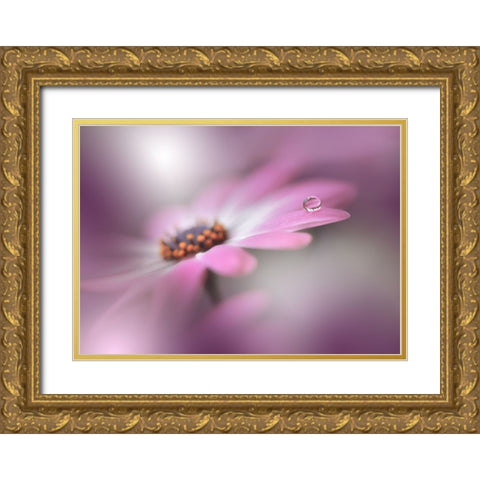 Echoes Of Hope...II Gold Ornate Wood Framed Art Print with Double Matting by Nan, Juliana