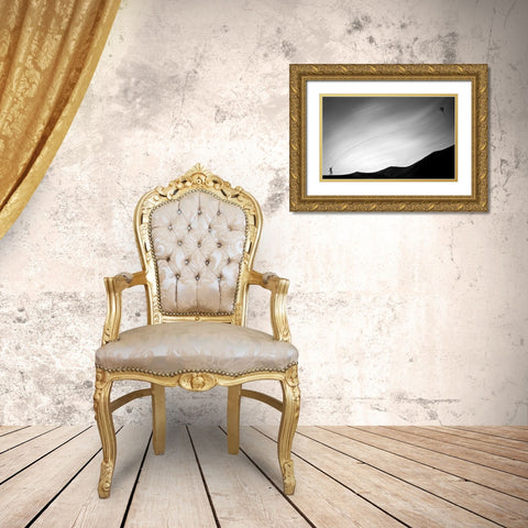 Flying enthusiasm Gold Ornate Wood Framed Art Print with Double Matting by Qadermazi, Arastoo