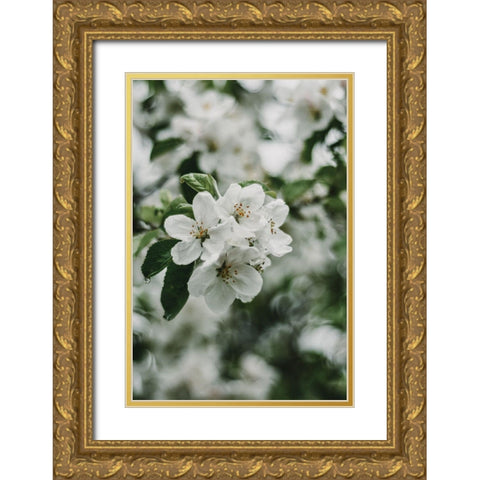 Spring Series - Apple Blossoms in the Rain 2/12 Gold Ornate Wood Framed Art Print with Double Matting by Elijas, Eva