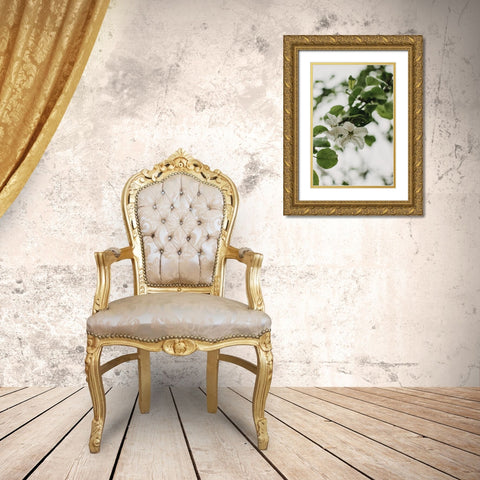 Spring Series - Apple Blossoms in the Rain 10/12 Gold Ornate Wood Framed Art Print with Double Matting by Elijas, Eva