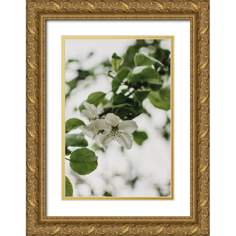 Spring Series - Apple Blossoms in the Rain 10/12 Gold Ornate Wood Framed Art Print with Double Matting by Elijas, Eva