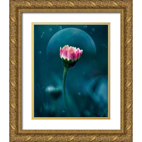 A flowers dream Gold Ornate Wood Framed Art Print with Double Matting by Stefanel, Nicolae