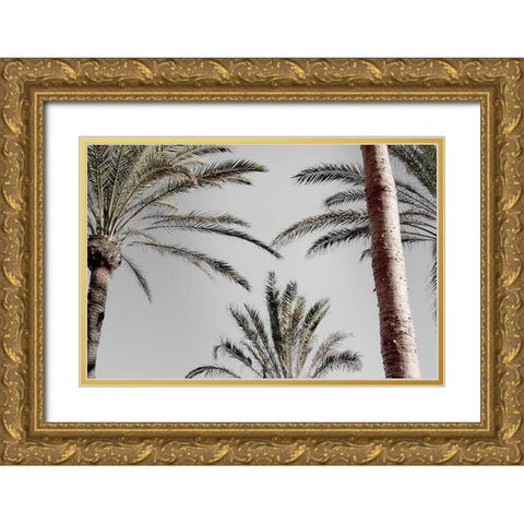 Palm_009 Gold Ornate Wood Framed Art Print with Double Matting by 1x Studio III