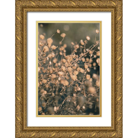 Beach flowers_003 Gold Ornate Wood Framed Art Print with Double Matting by 1x Studio III