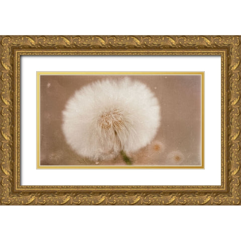 Softie Gold Ornate Wood Framed Art Print with Double Matting by Stas, Marie-Anne