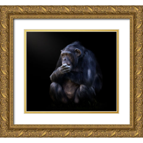 chimpanzee Gold Ornate Wood Framed Art Print with Double Matting by Garcia, Helena