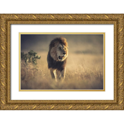 The King Gold Ornate Wood Framed Art Print with Double Matting by Sobhi, Ahmed
