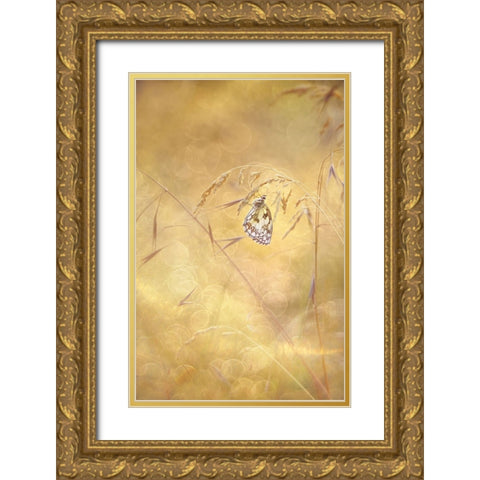 Sprinkle Gold Ornate Wood Framed Art Print with Double Matting by Van Helden, Elisabeth