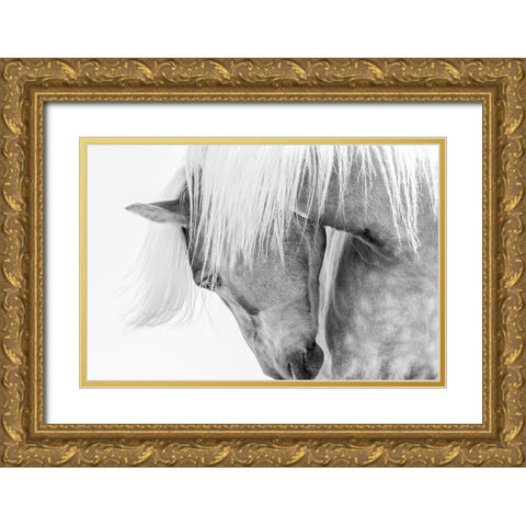 Halflinger Portrait Gold Ornate Wood Framed Art Print with Double Matting by Kimberly