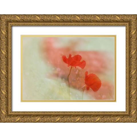 Poppy 2 Gold Ornate Wood Framed Art Print with Double Matting by Stas, Marie-Anne