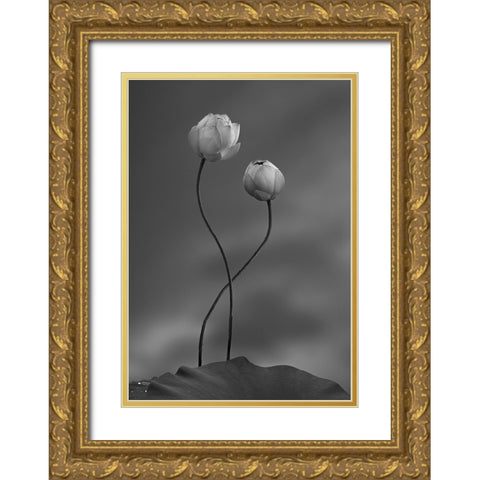 Lotus Gold Ornate Wood Framed Art Print with Double Matting by Wei, Taiga