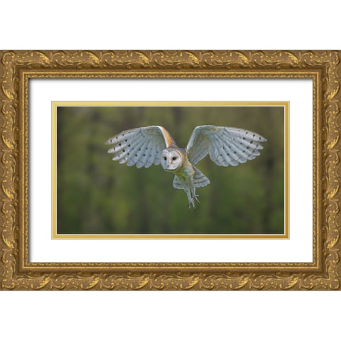 Elegance Gold Ornate Wood Framed Art Print with Double Matting by Tiffany, Heymans