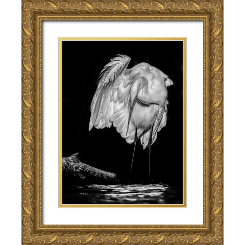 Great White Egret Gold Ornate Wood Framed Art Print with Double Matting by Van Der, Jan