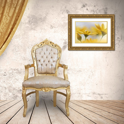 Summer Melody.. Gold Ornate Wood Framed Art Print with Double Matting by Nan, Juliana