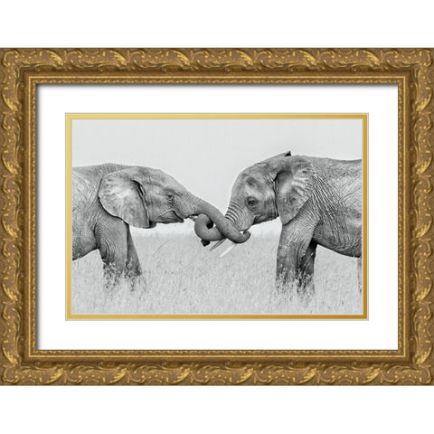 Confrontation Gold Ornate Wood Framed Art Print with Double Matting by Zuo, Jun