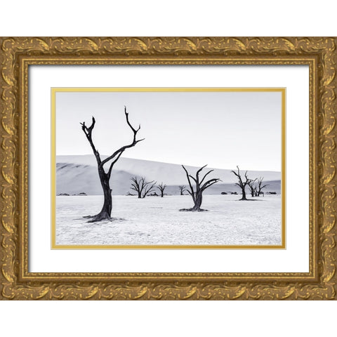 Deadvlei Gold Ornate Wood Framed Art Print with Double Matting by Zheng, Michael