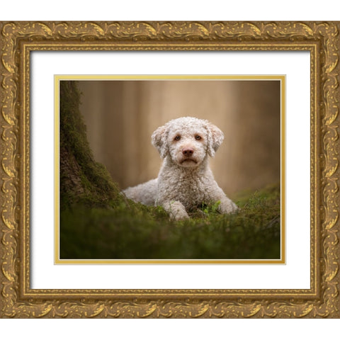 The Guardian of the Forest Gold Ornate Wood Framed Art Print with Double Matting by Kuplenk, Nika