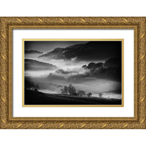 Morning Walk Gold Ornate Wood Framed Art Print with Double Matting by Svoboda Mqep, Peter