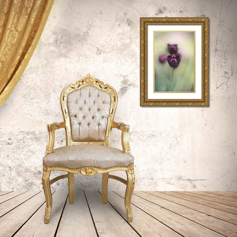 Projectorlens Photo Gold Ornate Wood Framed Art Print with Double Matting by van marwijk, tonnie