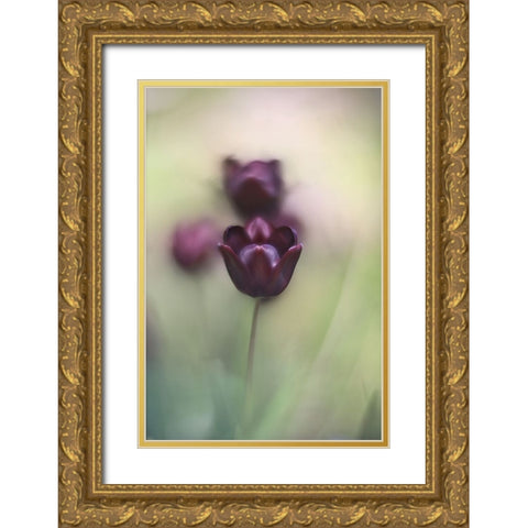 Projectorlens Photo Gold Ornate Wood Framed Art Print with Double Matting by van marwijk, tonnie