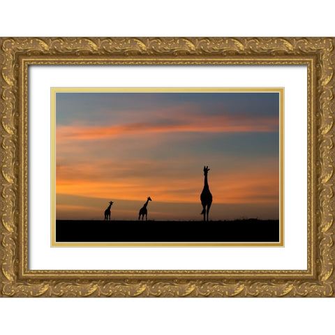 ddidcdsd ddldcdndids dydcdcd d ddcddbdudsd Gold Ornate Wood Framed Art Print with Double Matting by Sobhi, Ahmed