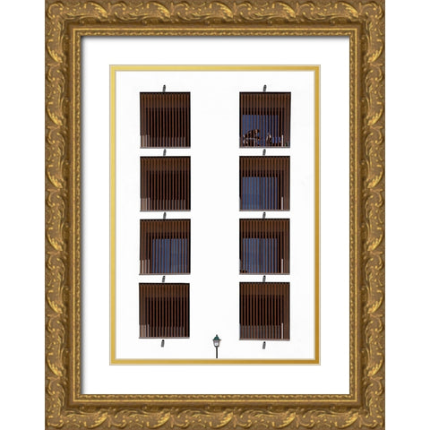 Between Bars. Gold Ornate Wood Framed Art Print with Double Matting by Arjona, Elena