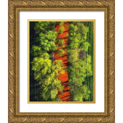 ...Perverted Beauty ... Gold Ornate Wood Framed Art Print with Double Matting by Gerec, Pali