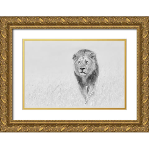 The King of The Prairie Gold Ornate Wood Framed Art Print with Double Matting by Zuo, Jun